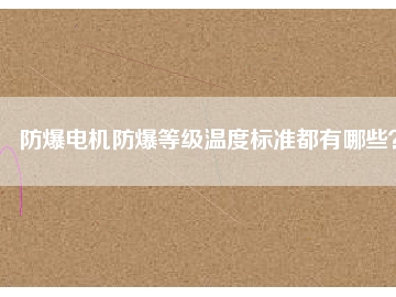 防爆電機(jī)防爆等級(jí)溫度標(biāo)準(zhǔn)都有哪些？