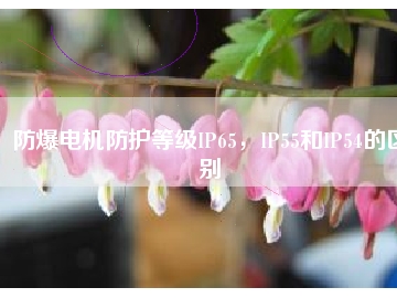 防爆電機(jī)防護(hù)等級(jí)IP65，IP55和IP54的區(qū)別