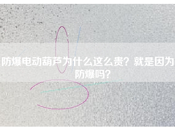 防爆電動(dòng)葫蘆為什么這么貴？就是因?yàn)槟芊辣瑔幔?></div>
                            <div   id=