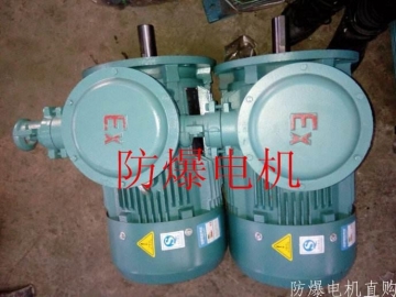 防爆電機(jī)分類：防爆電機(jī)選型、參數(shù)、定義