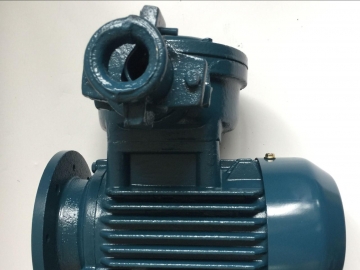 防爆電機(jī)要如何檢修，如何試車(chē)？要注意些什么？